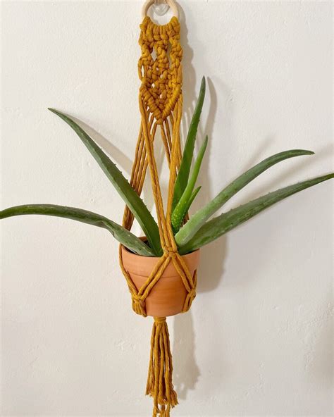 Macrame Wall Plant Hanging - Etsy