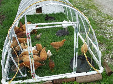 diy chicken tractors 1