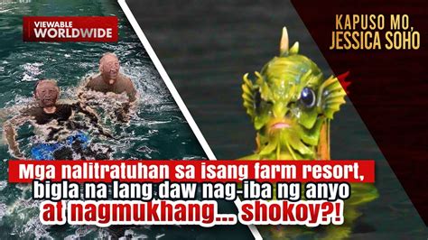 Mga Nalitratuhan Sa Isang Farm Resort Bigla Raw Nagmukhang Shokoy