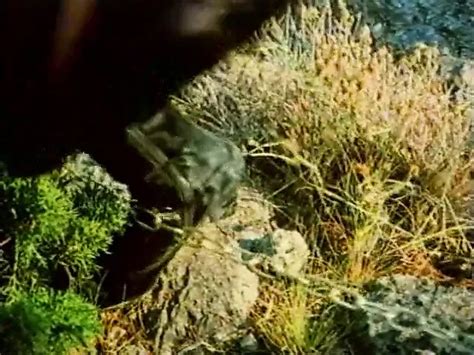 Gina Janssen Porn Videos Porn Star Sex Scenes Xhamster