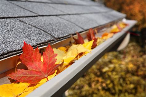 Keeping Gutters Clear While Leaves Are Falling