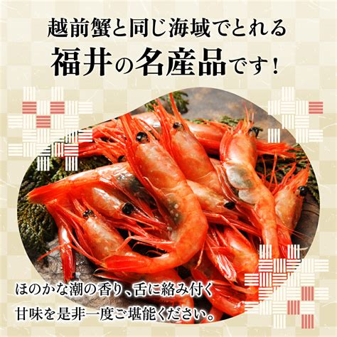 【楽天市場】【ふるさと納税】越前子持ち甘エビ 約500g（約40尾）× 2箱（計1kg）【甲羅組 敦賀 あまえび アマエビ 甘えび 刺身 生