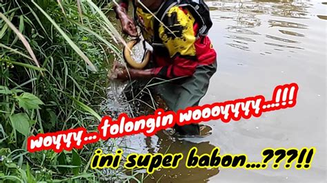 Inilah Yg Terjadi Kalau Mancing Belut Di Kolam Yg Jauh Ke Darat