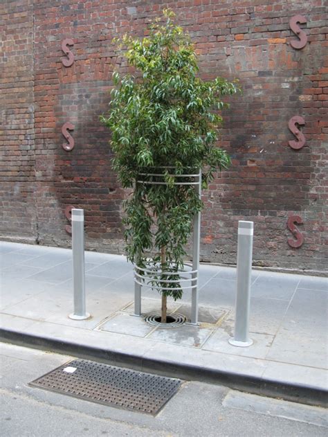 covered   kerb raingarden tree pit city  melbourne