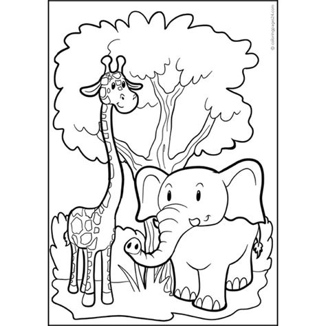 Jual Gambar Mewarnai ~ HEWAN PART1 / Seketsa Lukis / Drawing Sketch