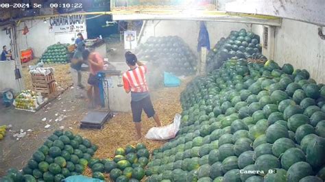 Pelaku Penyiraman Air Keras Dan Bacok Pegawai Toko Buah Di Pasar Induk