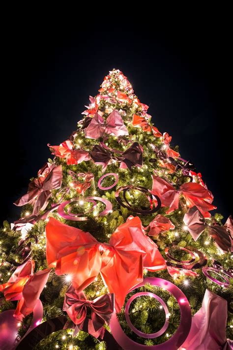 This Christmas Tree in Amsterdam is created by a famous fashion ...