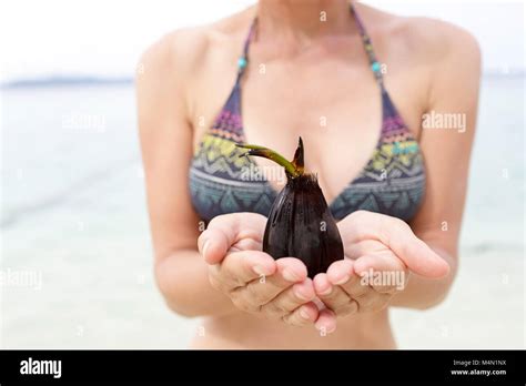Woman In Bikini Holding Sprouting Coconut Small Coconut Tree In Her Hands Stock Photo Alamy