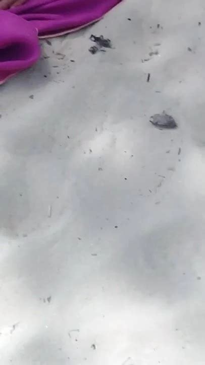 Martinique Porn Videos Free XXX Rated Sex Videos 2025 XHamster