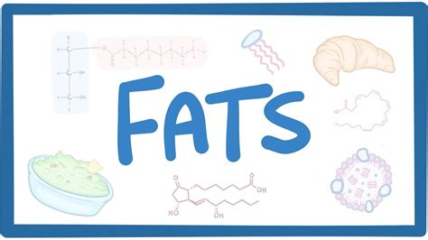 Lipids and Fatty Acids: An Inescapable Organic Compounds : Plantlet