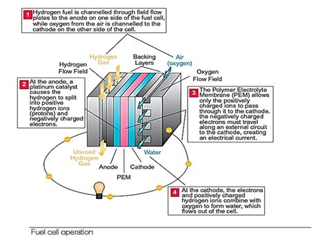 Liquefied Petroleum Gas