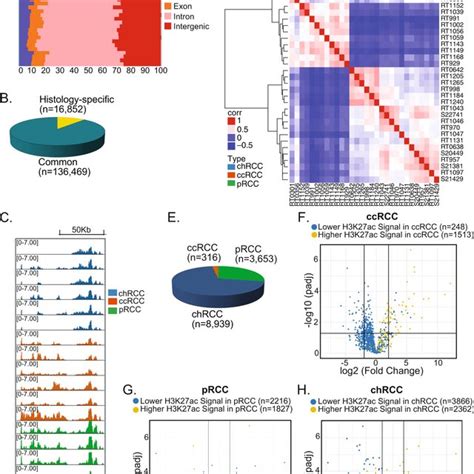 Landscape Of H3k27ac Signals Across Rcc Histologies A Distribution Of