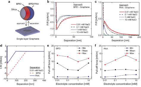 Polyelectrolyte Assisted Dispersions Of Reduced Graphite Oxide Nanoplates In Water And Their Gas