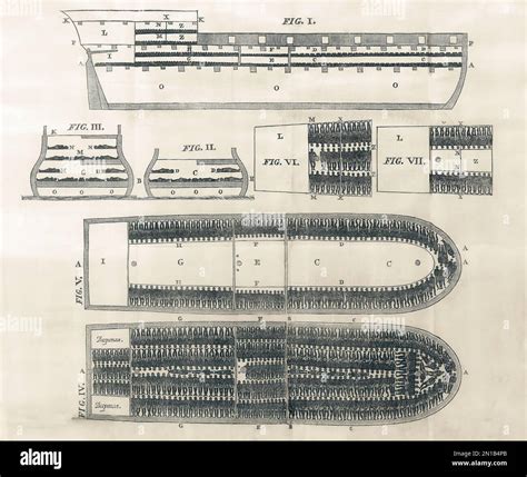 30+ Diagram Of Slave Ship - HeathJesmae