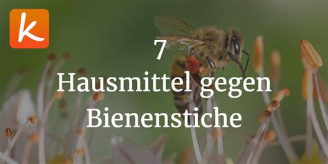 Hausmittel Gegen Bienenstiche