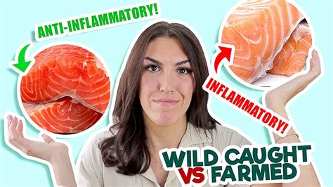 Wild Caught Salmon Vs Farm Raised Salmon Nutrition Differences