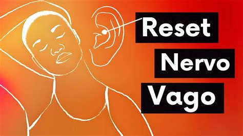 Como Massagear O Nervo Vago - Como Massagear O Nervo Vago - RETOEDU