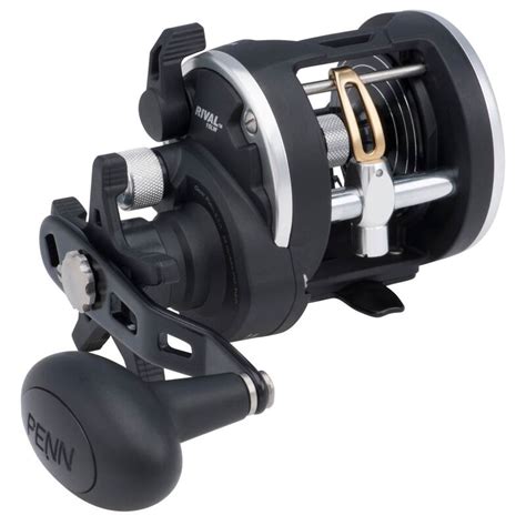 Penn Rival 15lw Level Wind Conventional Reel West Marine