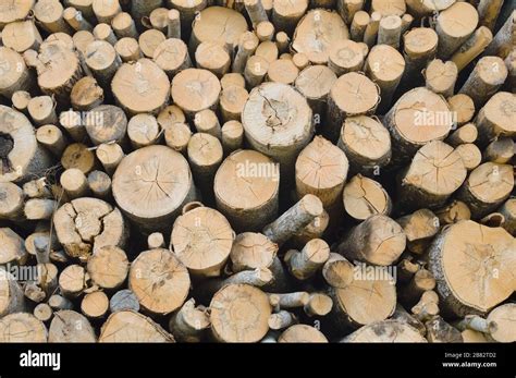 Firewood Stacked Wallpaper Background Hi Res Stock Photography And