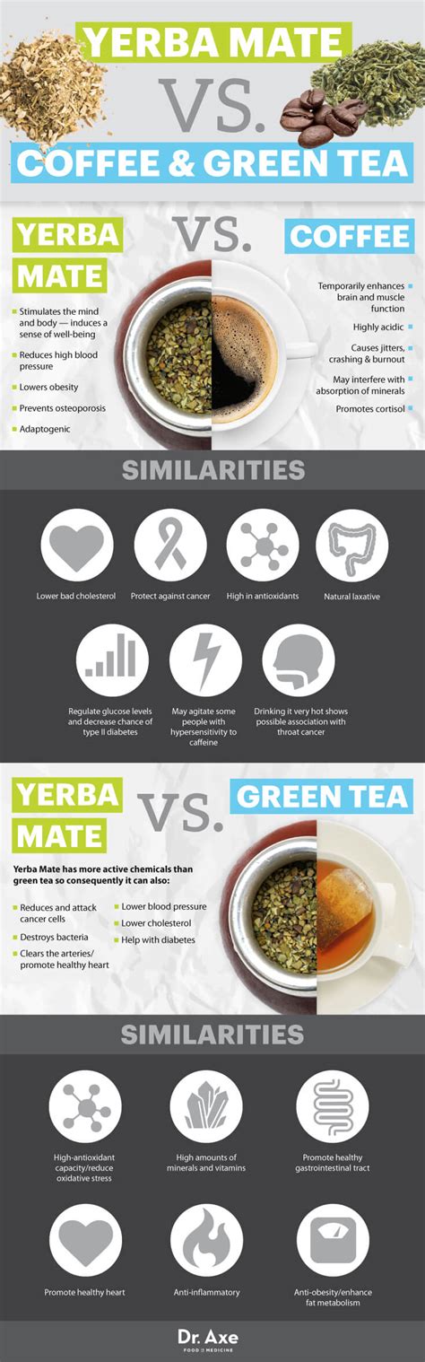 Yerba Mate Benefits, Including Fighting Cancer + How to Make - Dr. Axe
