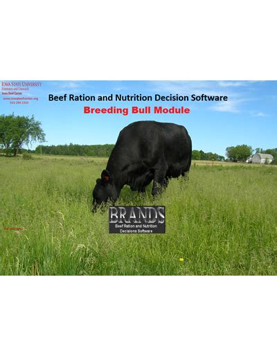 Beef Feedlot Systems Manual