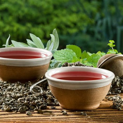 Китайский фиточай Ласточка - польза и вред напитка