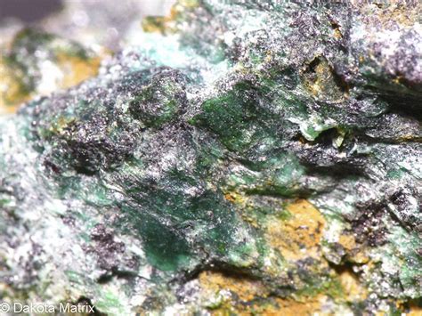 nepouite rare mineral specimens  sale  dakota matrix species min