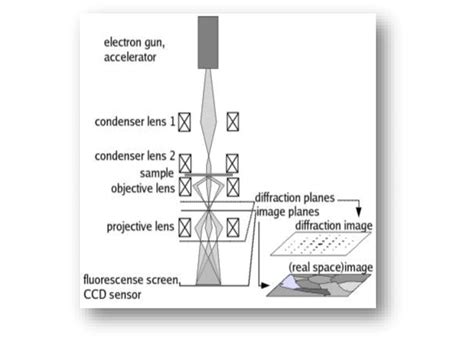 Transmission Electron Microscope Schematic