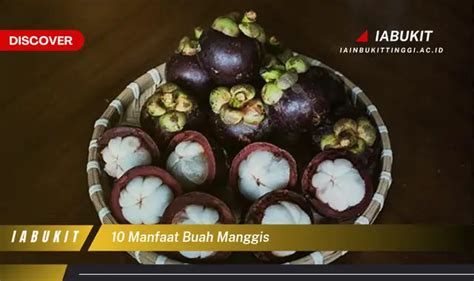 Ketahui 7 Manfaat Buah Manggis Yang Bikin Kamu Penasaran Discover