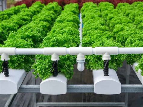 oni hydroponic farm  farm tile  brenda owens blog