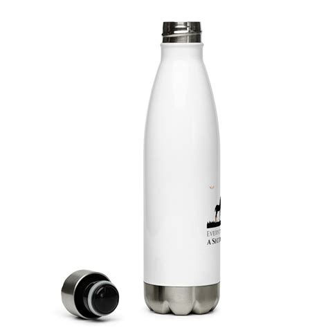 Everyone Deserves A Second Chance Stainless Steel Water Bottle - Flying