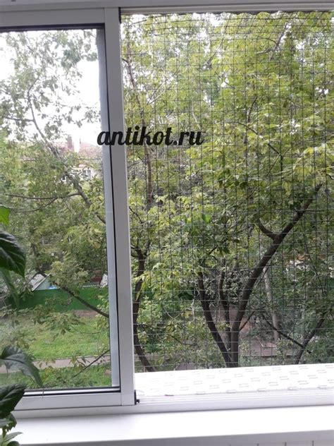 Выгул на окно для кошек (балкон) в Москве - AntiKot.ru