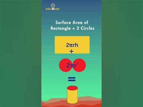 The Surprising Power Of Surface Area Unlocking The Secrets Of A Cylinder