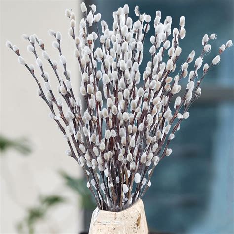 Amazon Stems Inches Real Dried Pussy Willow Branches For Vase White Pussy Willows