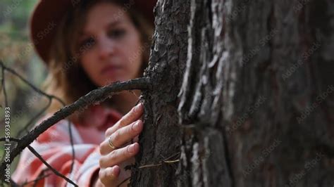 A Beautiful Adult Curly Woman Touches The Bark Of A Pine Tree Hugs A