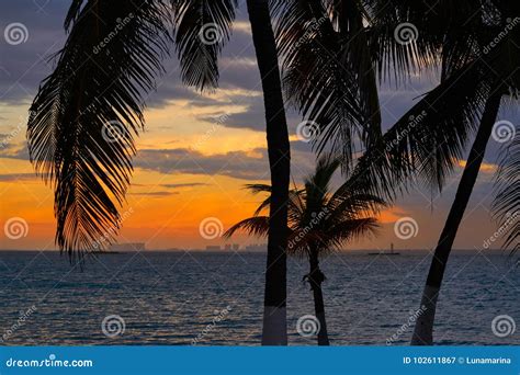 Isla Mujeres Island Caribbean Beach Sunset Stock Image - Image of exotic, sand: 102611867