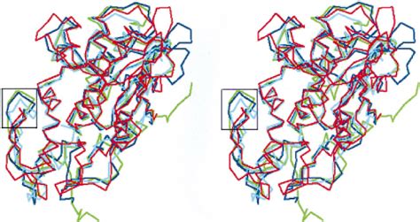 Sequence alignment based on structures. Residues conserved in all ...