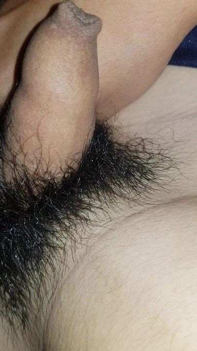 Panis Gay Man Porn XHamster