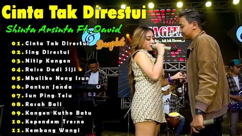 Shinta Arsinta Feat David Terbaru Full Album Dangdut Koplo