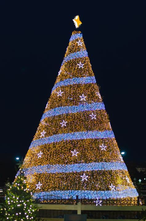 National Christmas Tree, Washington DC, USA Editorial Stock Image - Image of white, tree: 259466409