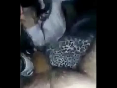 Me la chupa mientras está lanzando XVIDEOS