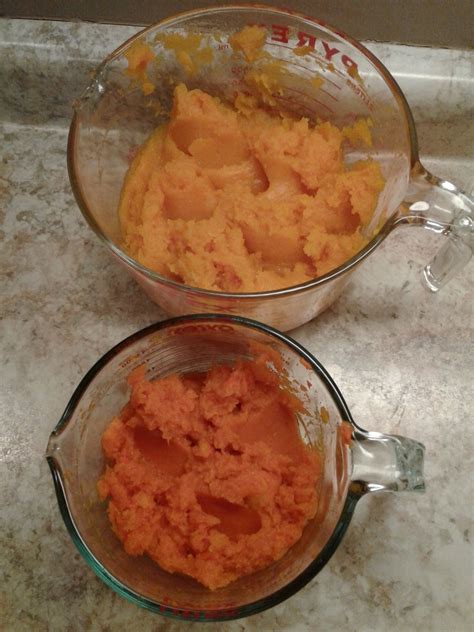 Burpees Butterbush Butternut Squash Baker Creek Seeds