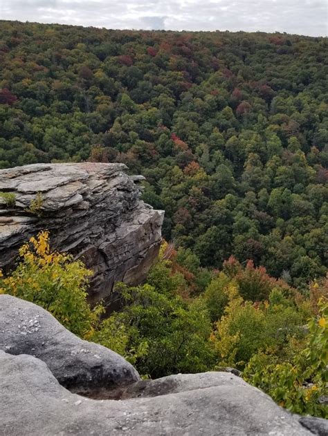 Lindy Point Blackwater Water Falls State Park