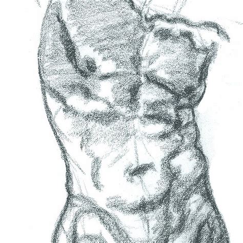 Male Nude Sketch Etsy