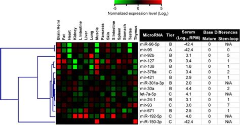 Comparison With Tissue Mirna Profiles Suggests Origins For Specific Download Scientific Diagram