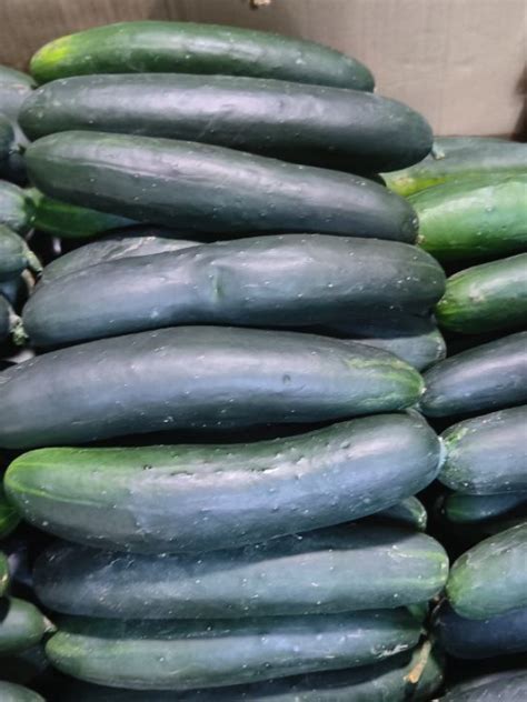 Cucumber Batang Balintawak Mp