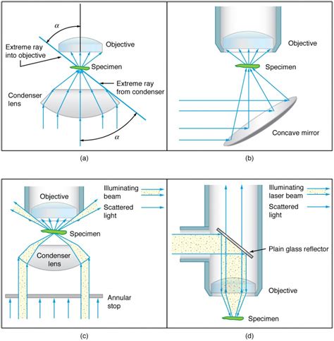 Microscopes | Physics