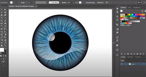adobe illustrator software  reviews pricing demo