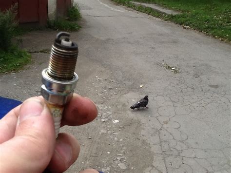 ТО 4 + — Chevrolet Lacetti 5D, 1,6 л, 2012 года | плановое ТО | DRIVE2