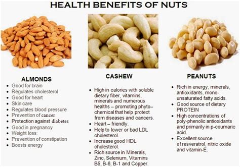 Health Benefits Of Nuts Cashews Peanuts Walnuts Almonds Pistachios